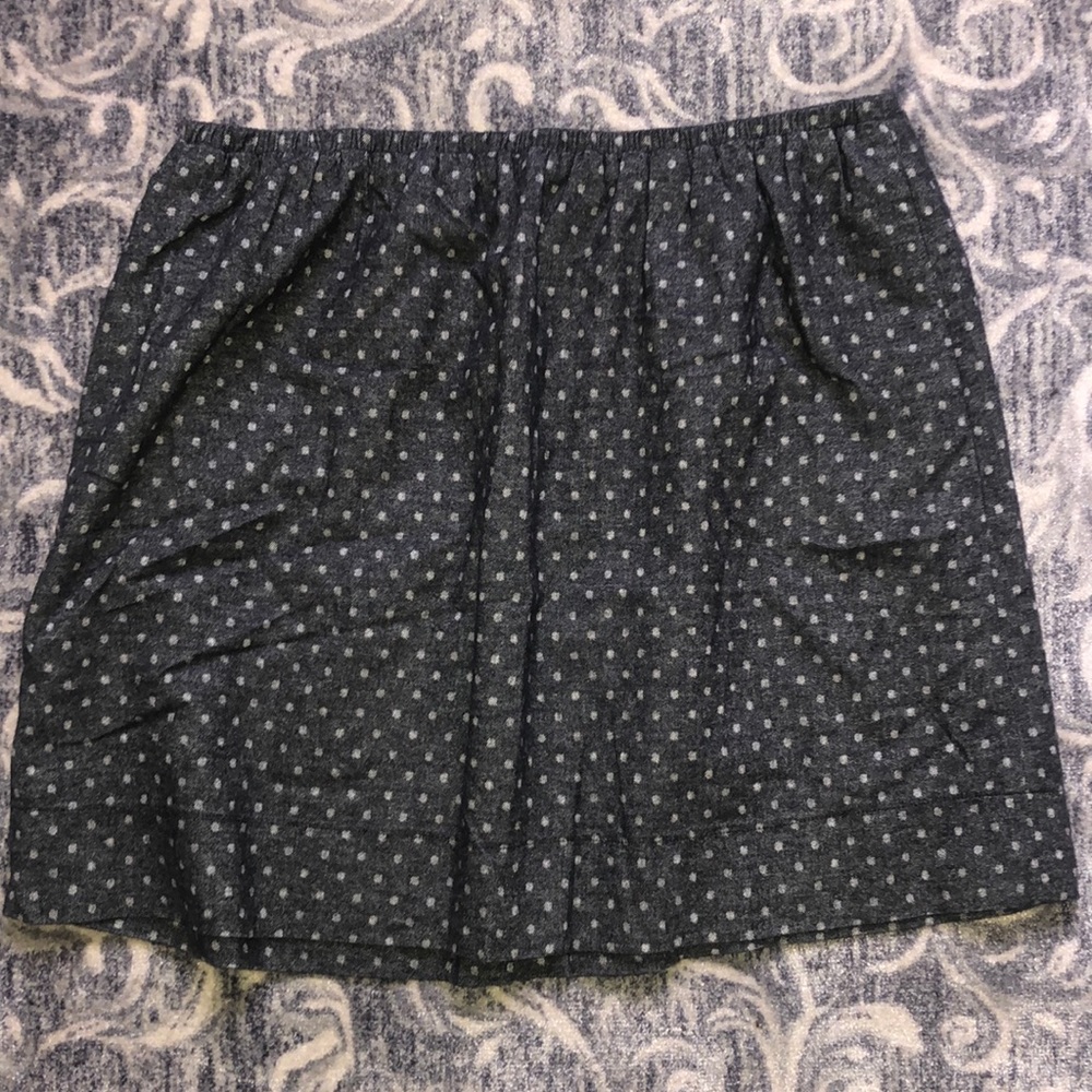 Ann Taylor LOFT Skirt